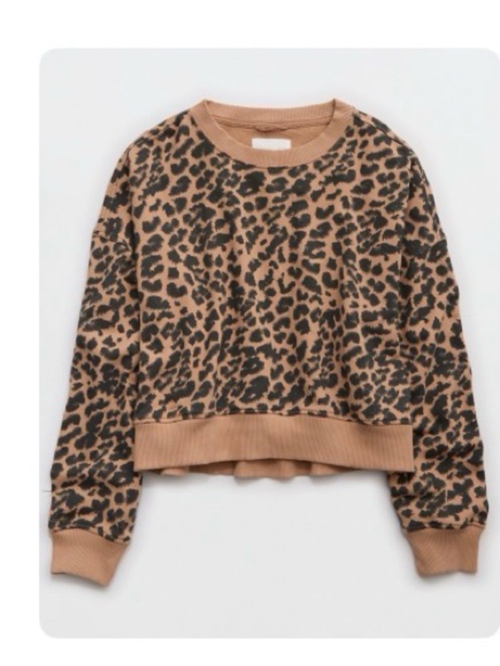Aerie Take It Easy sweatshirt in Animal Print